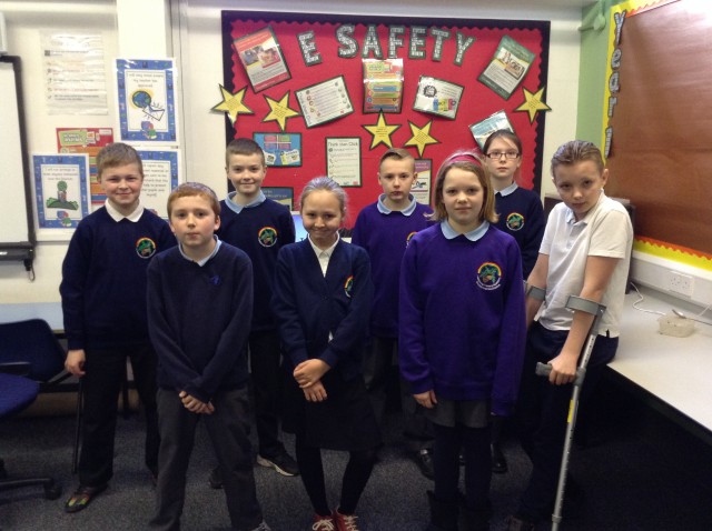 E-Safety Council 2016
